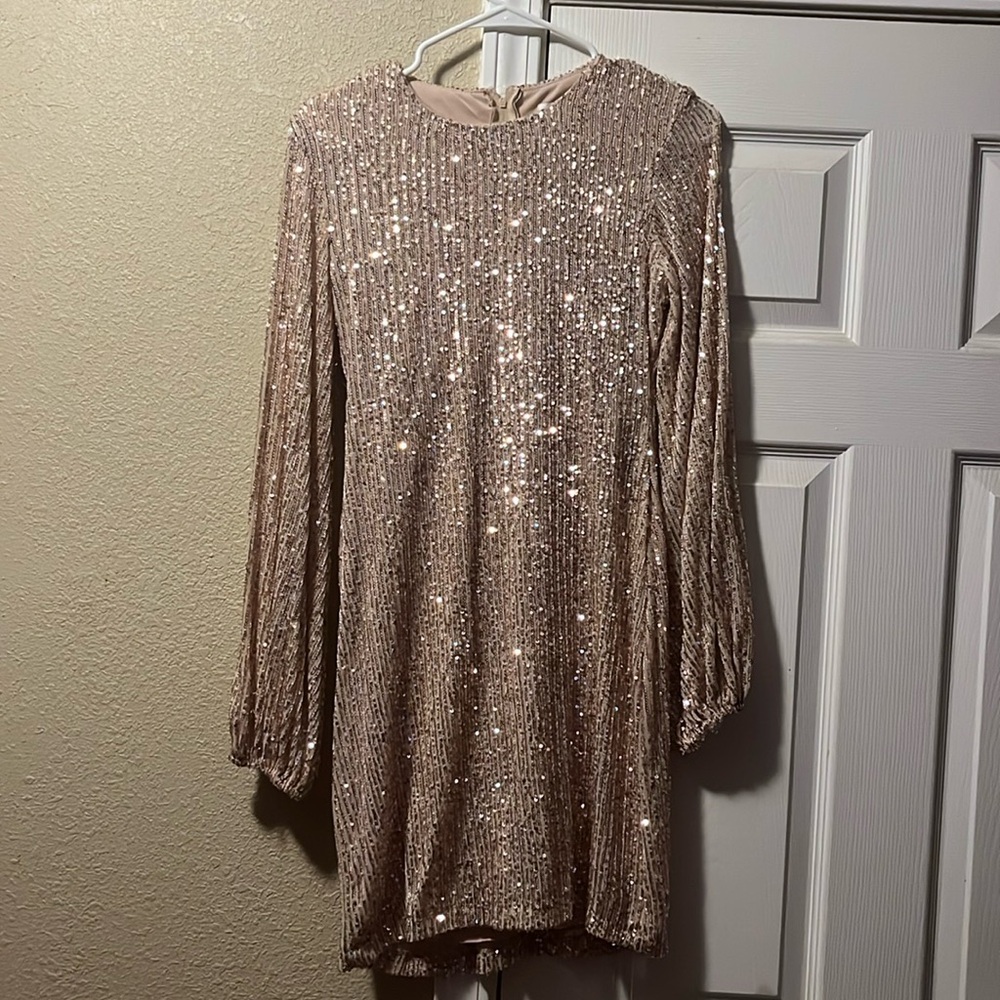 Premier Amour Long Sleeve Sequence Dress